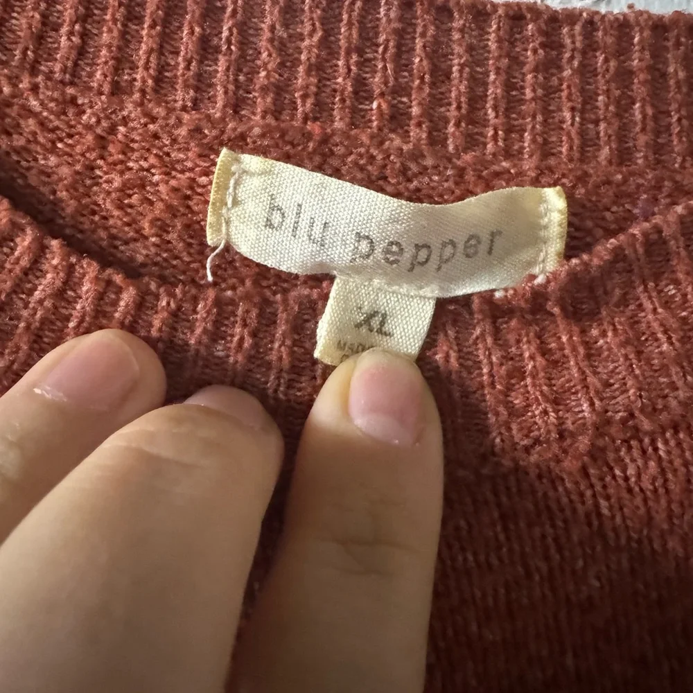 Blu Pepper Rust and Cream Striped Sweater - Picture 3 of 3